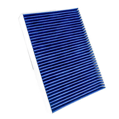 Anti-mildew and antibacterial cabin air filter
