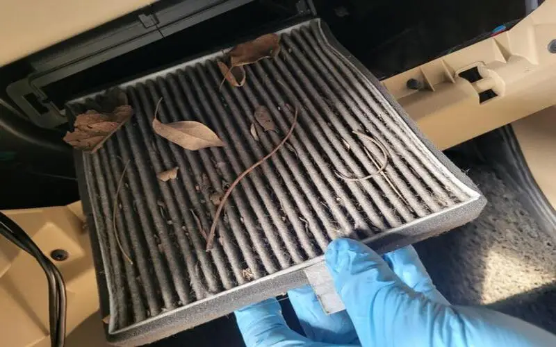 Can I Just Clean My Cabin Air Filter