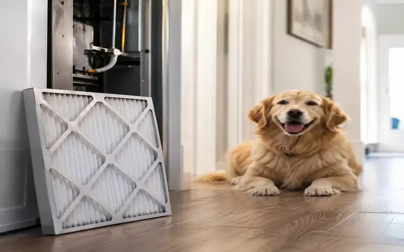 Best Furnace Filters for Homes With Pets